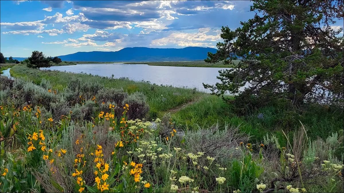 Idaho